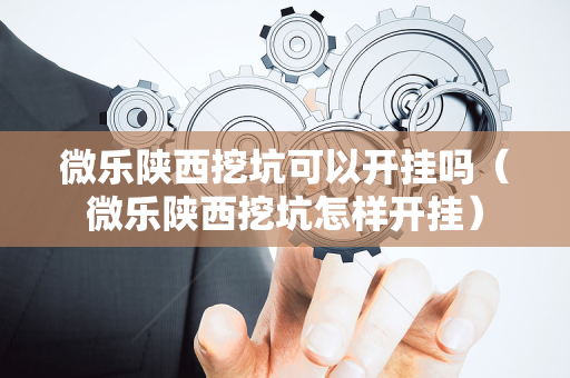 微乐陕西挖坑可以开挂吗（微乐陕西挖坑怎样开挂）