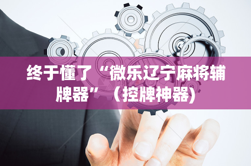 终于懂了“微乐辽宁麻将辅牌器”（控牌神器)