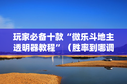 玩家必备十款“微乐斗地主透明器教程”（胜率到哪调)