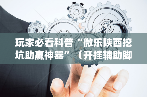 玩家必看科普“微乐陕西挖坑助赢神器”（开挂辅助脚本)