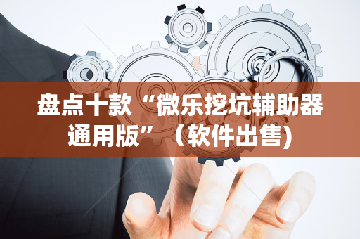 盘点十款“微乐挖坑辅助器通用版”（软件出售)