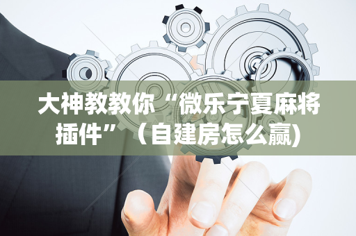 大神教教你“微乐宁夏麻将插件”（自建房怎么赢)