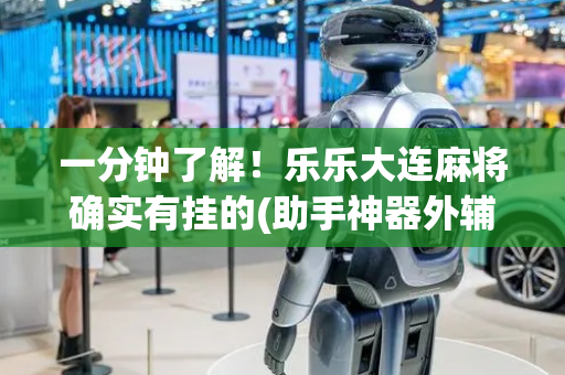 一分钟了解！乐乐大连麻将确实有挂的(助手神器外辅工具)