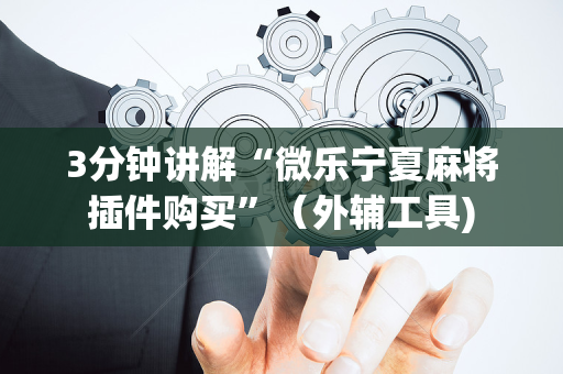 3分钟讲解“微乐宁夏麻将插件购买”（外辅工具)