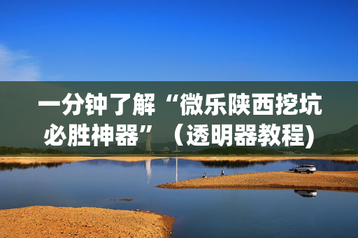 一分钟了解“微乐陕西挖坑必胜神器”（透明器教程)