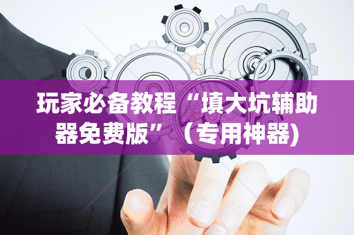玩家必备教程“填大坑辅助器免费版”（专用神器)