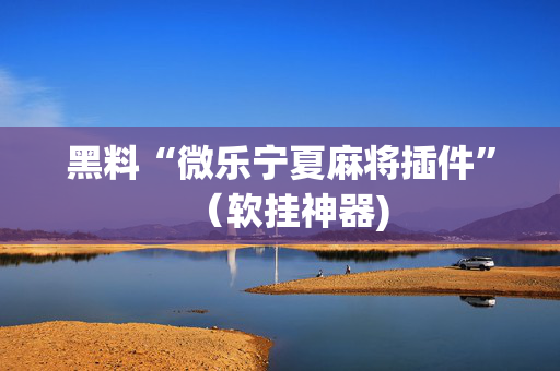 黑料“微乐宁夏麻将插件”（软挂神器)