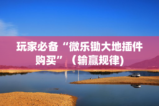 玩家必备“微乐锄大地插件购买”（输赢规律)