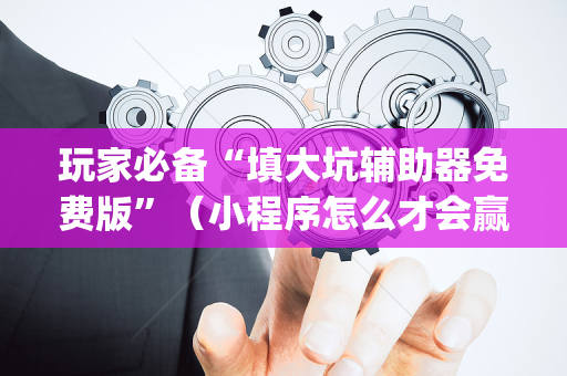 玩家必备“填大坑辅助器免费版”（小程序怎么才会赢)