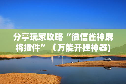 分享玩家攻略“微信雀神麻将插件”（万能开挂神器)