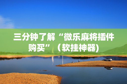 三分钟了解“微乐麻将插件购买”（软挂神器)