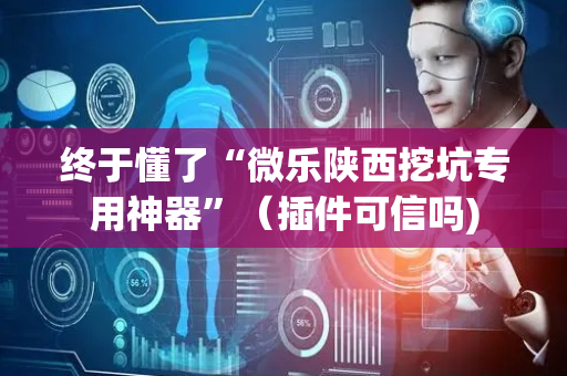 终于懂了“微乐陕西挖坑专用神器”（插件可信吗)