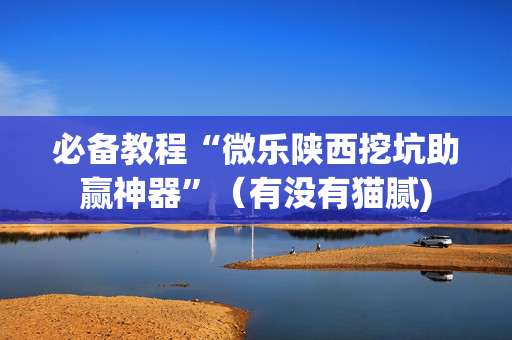 必备教程“微乐陕西挖坑助赢神器”（有没有猫腻)