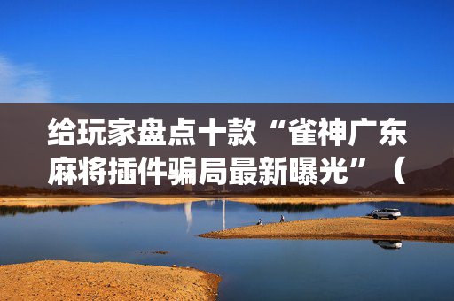 给玩家盘点十款“雀神广东麻将插件骗局最新曝光”（做弊器软件下载)