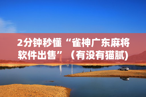 2分钟秒懂“雀神广东麻将软件出售”（有没有猫腻)