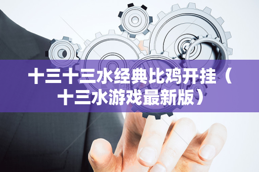 十三十三水经典比鸡开挂（十三水游戏最新版）