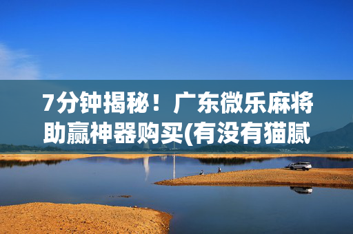 7分钟揭秘！广东微乐麻将助赢神器购买(有没有猫腻)