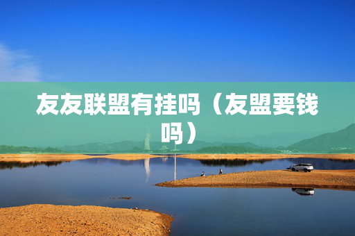 友友联盟有挂吗（友盟要钱吗）