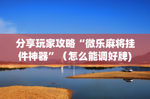 分享玩家攻略“微乐麻将挂件神器”（怎么能调好牌)