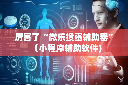 厉害了“微乐掼蛋辅助器”（小程序辅助软件)