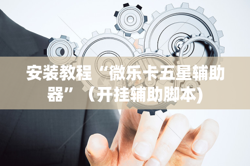 安装教程“微乐卡五星辅助器”（开挂辅助脚本)