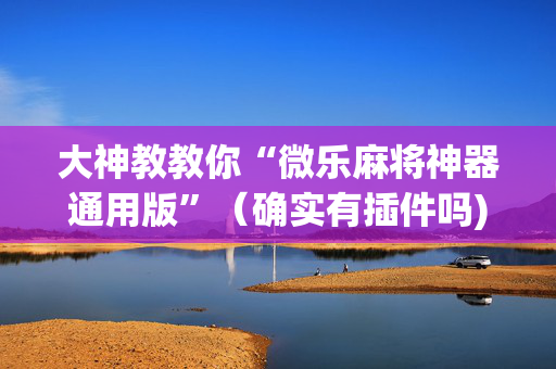 大神教教你“微乐麻将神器通用版”（确实有插件吗)