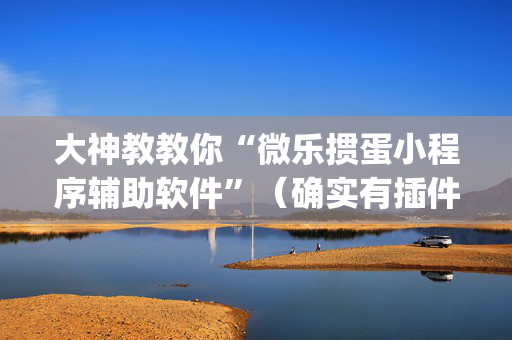 大神教教你“微乐掼蛋小程序辅助软件”（确实有插件吗)