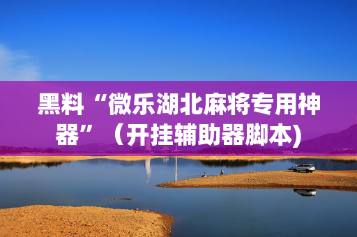 黑料“微乐湖北麻将专用神器”（开挂辅助器脚本)