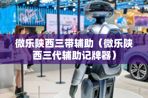 微乐陕西三带辅助（微乐陕西三代辅助记牌器）
