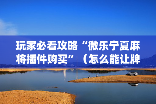 玩家必看攻略“微乐宁夏麻将插件购买”（怎么能让牌好一点)