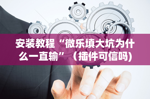 安装教程“微乐填大坑为什么一直输”（插件可信吗)