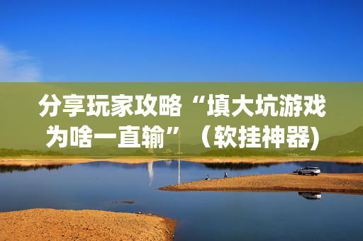 分享玩家攻略“填大坑游戏为啥一直输”（软挂神器)