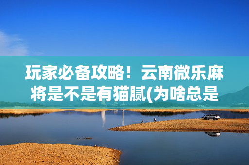 玩家必备攻略！云南微乐麻将是不是有猫腻(为啥总是输)