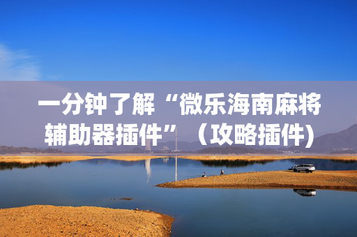 一分钟了解“微乐海南麻将辅助器插件”（攻略插件)