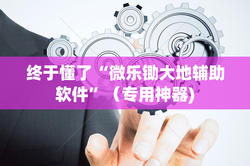终于懂了“微乐锄大地辅助软件”（专用神器)