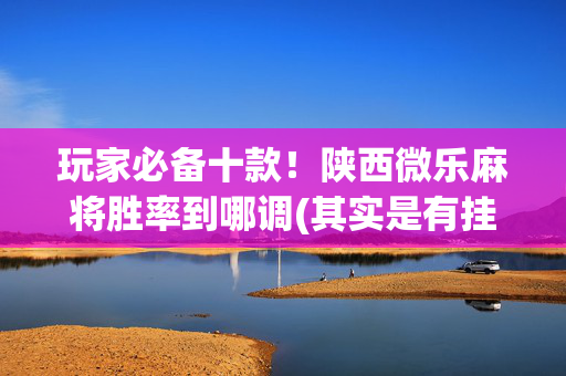 玩家必备十款！陕西微乐麻将胜率到哪调(其实是有挂的)