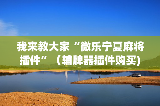 我来教大家“微乐宁夏麻将插件”（辅牌器插件购买)