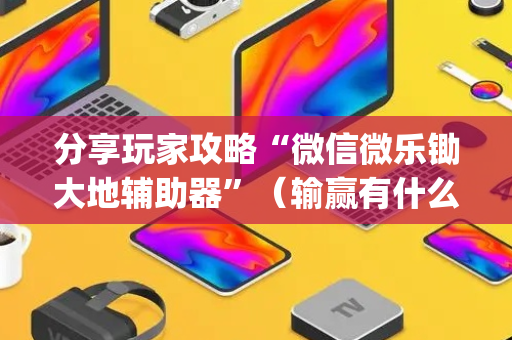分享玩家攻略“微信微乐锄大地辅助器”（输赢有什么规律)