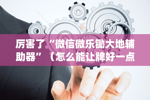 厉害了“微信微乐锄大地辅助器”（怎么能让牌好一点)