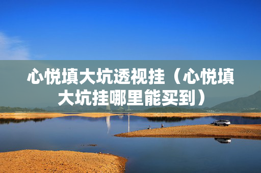 心悦填大坑透视挂（心悦填大坑挂哪里能买到）