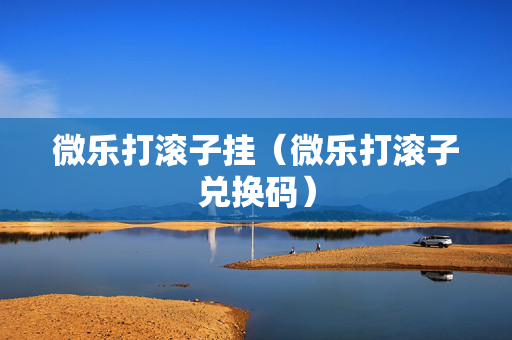 微乐打滚子挂（微乐打滚子兑换码）