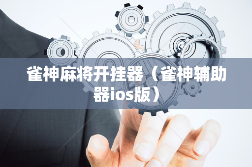 雀神麻将开挂器（雀神辅助器ios版）