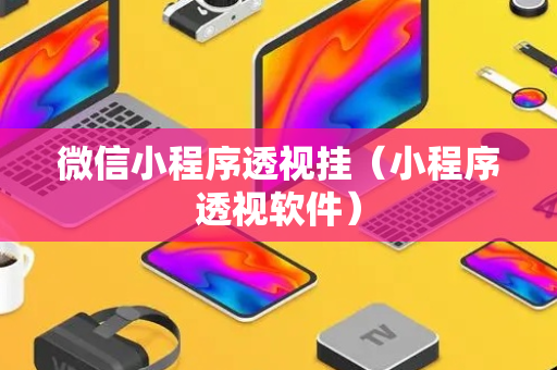 微信小程序透视挂（小程序透视软件）