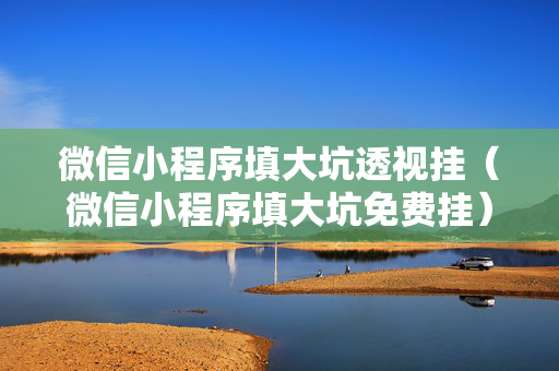微信小程序填大坑透视挂（微信小程序填大坑免费挂）