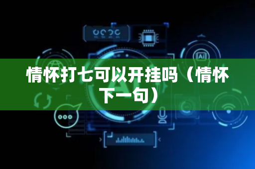 情怀打七可以开挂吗（情怀下一句）