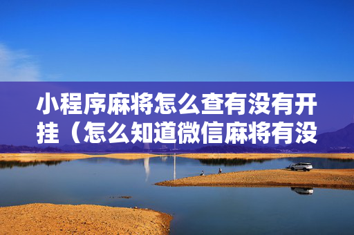 小程序麻将怎么查有没有开挂（怎么知道微信麻将有没有挂）