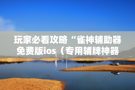 玩家必看攻略“雀神辅助器免费版ios（专用辅牌神器免安装）