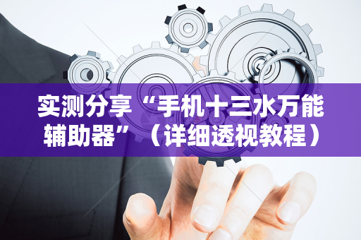 实测分享“手机十三水万能辅助器”（详细透视教程）-哔哩哔哩