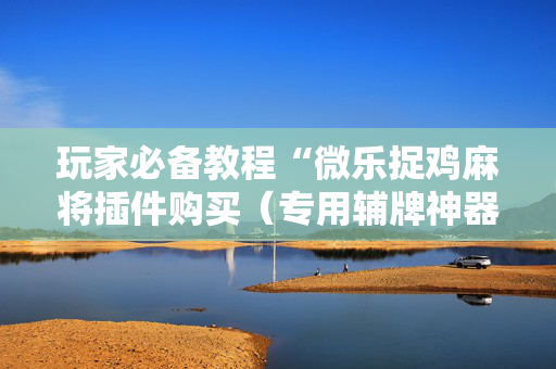 玩家必备教程“微乐捉鸡麻将插件购买（专用辅牌神器免安装）