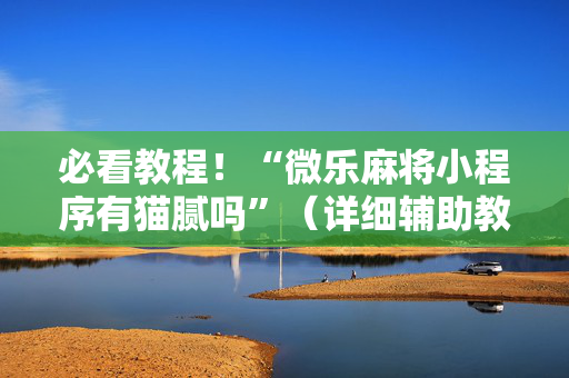 必看教程！“微乐麻将小程序有猫腻吗”（详细辅助教程）-哔哩哔哩